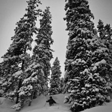 Foto: Peter Modigh. &Aring;kare: Oscar Modigh.