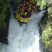 Kaituna River, Nya Zeeland. 7 meter s&auml;gs fallet v. Foto: ?. &Aring;kare: Ulf Brissman mfl.
