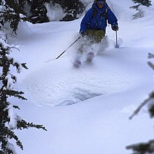 Fann ett helt f&auml;lt med pillows, h&auml;r plockar Mart. Foto: Erik Pernestam (www.pernestam.se). &Aring;kare: Martin Olsson.
