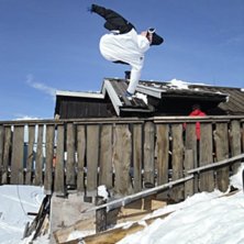 misty. Foto: Johanna Bergman. &Aring;kare: Joel Berggren.