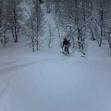 Foto: Josefin Andersson. &Aring;kare: Anna Lindstr&ouml;m.