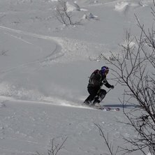 sk&ouml;na sv&auml;ngar i v&aring;rsn&ouml;n. Foto: Robert Svartholm. &Aring;kare: Ivar Svartholm.