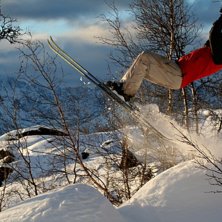 Skogskj&oslash;ring i K&aring;fjord. Foto: Odd Roar Salamonsen. &Aring;kare: Hans Christian Bosse Moi.