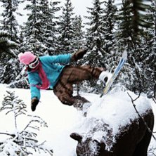 Jibbar p&aring; nosh&ouml;rningen, haha :) . Foto: Katarina Persson. &Aring;kare: Hilla.