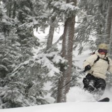 Skogs&aring;kning. Foto: Andreas Albrecht. &Aring;kare: Sara Ritzen.