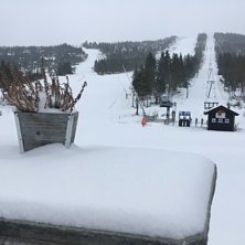 Andre juledag og nysn&oslash;!
Det er vinterlig i Nesfje.