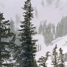 Foto: Kristian Lidin. &Aring;kare: Markus.