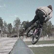 Foto: Sysse. &Aring;kare: Linus.