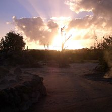 En varm k&auml;lla hade precis exploderat och d&ouml;dat d. Foto: Anna-Karin Olausson.