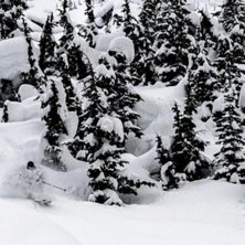 Mushroom People. Foto: Oskar Wagrelius. &Aring;kare: Jacob Heyle.
