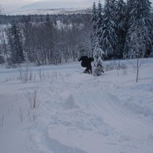 Foto: Herr Lena Bergstr&ouml;m. &Aring;kare: H&aring;kan &Ouml;dman.