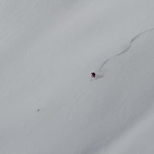 Foto: P&auml;r Blomqvist. &Aring;kare: Man vet inte riktigt.