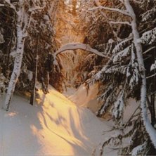 Foto: Markus Furendal. &Aring;kare: --.