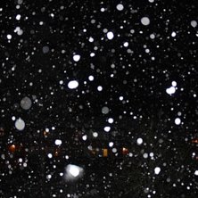 Oktober sn&ouml; :). Foto: David Hammer.