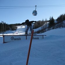 Rail (y). Foto: J&ouml;rgen M&aring;rtensson. &Aring;kare: Tobias M&aring;rtensson.