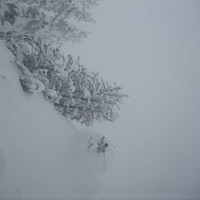 Puder puder puder....  . Foto: Nicklas Haglund. &Aring;kare: Bosse Liljefors.
