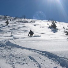 Foto: Peter Karlsson. &Aring;kare: Sture &Aring;gren.