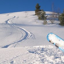 Foto: Magnus Svensson.