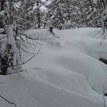 Floff floff i brevieres. Foto: dr Snuggles. &Aring;kare: Rune norrman.