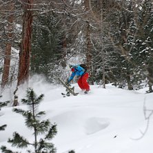 Foto: Martin Wikstr&ouml;m. &Aring;kare: Adam Jonsson.