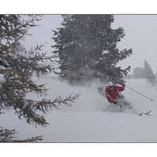 20 Januari 2012. Foto: Ulf Graipe. &Aring;kare: Fredrik Edwall.