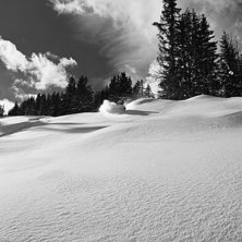 Foto: Peter Vahlfridsson. &Aring;kare: Ludvig Yttergren.