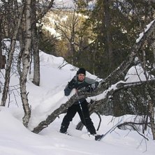 Skoj i Skogen. Foto: Emil Holmgren. &Aring;kare: Tommy Westher.
