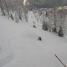 Mera skog.. Foto: Johan Jonsson. &Aring;kare: Magnus Nystr&ouml;m.