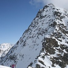 Bec des rosses fr&aring;n sidan, &Aring;kugen?. Foto: Ok&auml;nd.