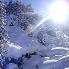 Vi kom lite fel i skogaran p&aring; riverside men fick . Foto: elin anander.