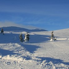 Ingen knuff och tr&auml;ngsel. Foto: Jag.