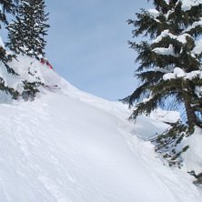 Foto: Adam S&auml;lg. &Aring;kare: Linus Ponerup.