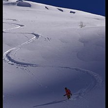 Foto: Rob Hamilton-Smith. &Aring;kare: Kajsa Wallin.