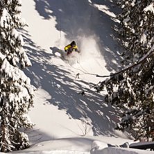 Ett f&ouml;rmodligen ganska ovanligt spot i &Aring;re som j. Foto: Niclas Magnusson. &Aring;kare: Pontus Lindahl Ros&eacute;n.