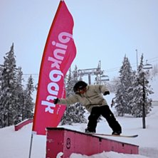 Foto: johan b&ouml;hlmark. &Aring;kare: jonatan sk&aring;lander.