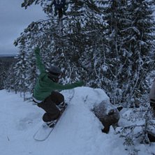 bj&ouml;rnen ska bli br&auml;dad. Foto: Hilla Aspman. &Aring;kare: Kattis Persson.