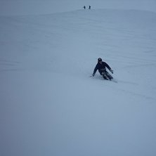 Stil Po&auml;ng.... Foto: Crigo. &Aring;kare: wopan.
