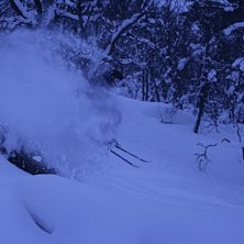 Poooofff! A la fluff. Foto: Jak. &Aring;kare: Alekunder.