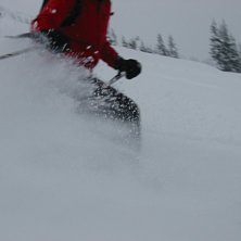 Massa or&ouml;rt puder!. Foto: Linus H&ouml;rnberg. &Aring;kare: Frida Lundin.