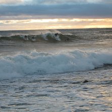 Svensk surfingcrowd. Foto: Johan Isaksson. &Aring;kare: M&aring;nga.