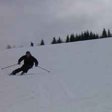En gr&aring; dag p&aring; sk&auml;r. Foto: Jens Lundeg&aring;rd. &Aring;kare: Jag David.