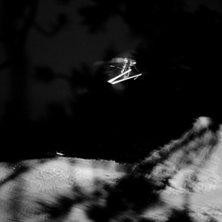 Spoky!
3:a Dubbel plake.. Foto: Gustaf Wennerstr&ouml;m. &Aring;kare: Erik Lundmark.