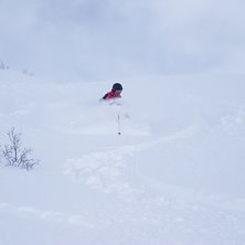 Foto: Erik Berglund. &Aring;kare: Gustaf Persson.