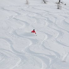 Foto: Mats Vestn. &Aring;kare: Felicia Vestin.