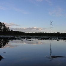 underbar sommarkv&auml;ll. Foto: Jimmy Berglund.