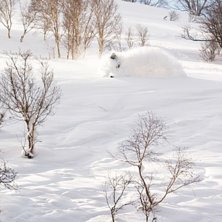 Foto: Max Larsson. &Aring;kare: Robin Sandberg.