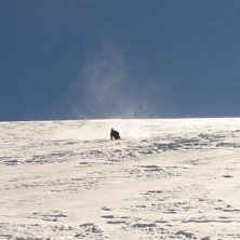 Foto: Johan Persson. &Aring;kare: Felix Engstr&ouml;m.