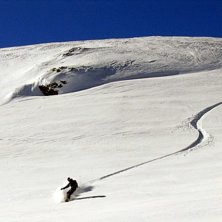Foto: Daniel Karlsson. &Aring;kare: Henrik Johansson.