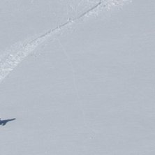 Foto: Bo Liljefors. &Aring;kare: Joakim persson.