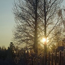 hade med kameran p&aring; promenaden, och s&aring; gick de s. Foto: andrea lundqvist.